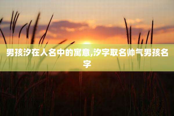 男孩汐在人名中的寓意,汐字取名帅气男孩名字