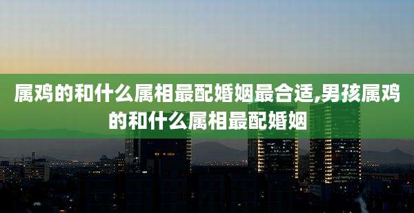 属鸡的和什么属相最配婚姻最合适,男孩属鸡的和什么属相最配婚姻