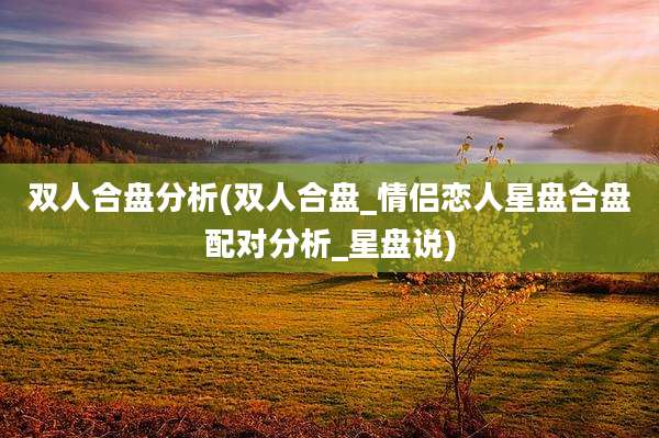 双人合盘分析(双人合盘_情侣恋人星盘合盘配对分析_星盘说)