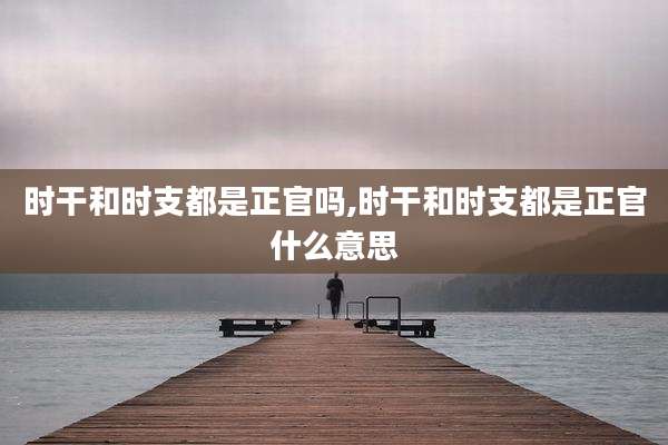 时干和时支都是正官吗,时干和时支都是正官什么意思