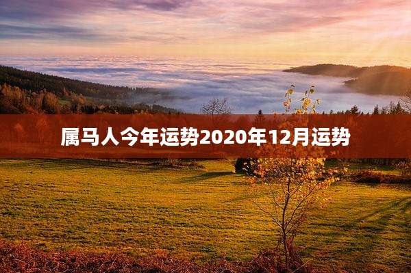 属马人今年运势2020年12月运势