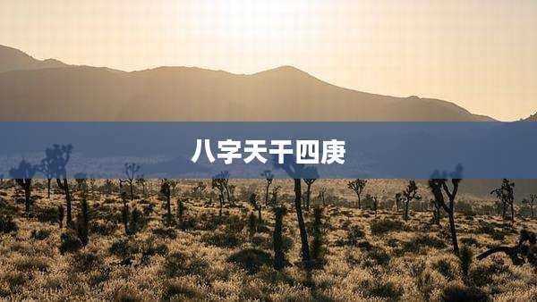 八字天干四庚