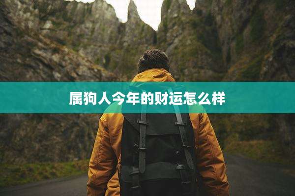 属狗人今年的财运怎么样