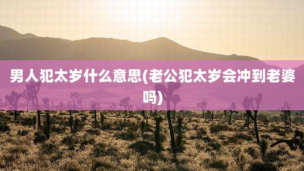 男人犯太岁什么意思(老公犯太岁会冲到老婆吗)