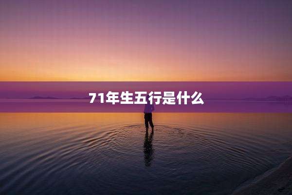 71年生五行是什么