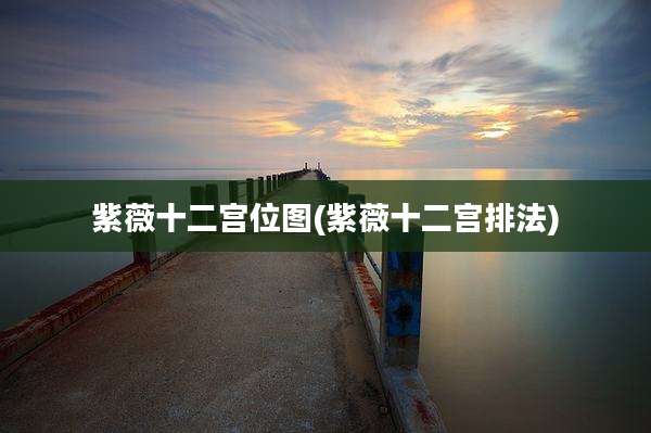 紫薇十二宫位图(紫薇十二宫排法)