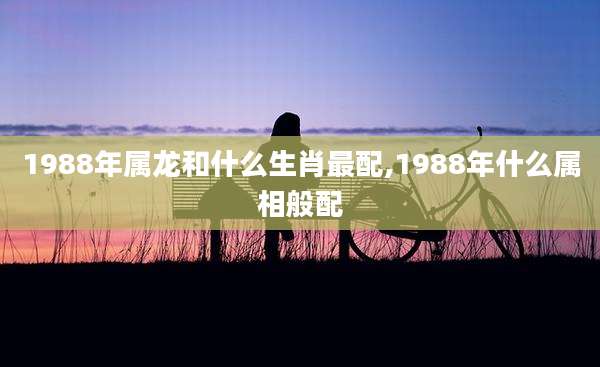1988年属龙和什么生肖最配,1988年什么属相般配