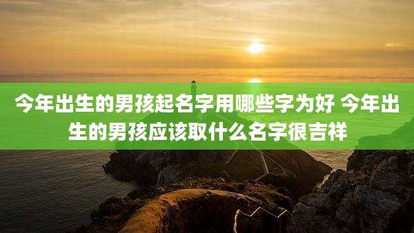 今年出生的男孩起名字用哪些字为好 今年出生的男孩应该取什么名字很吉祥