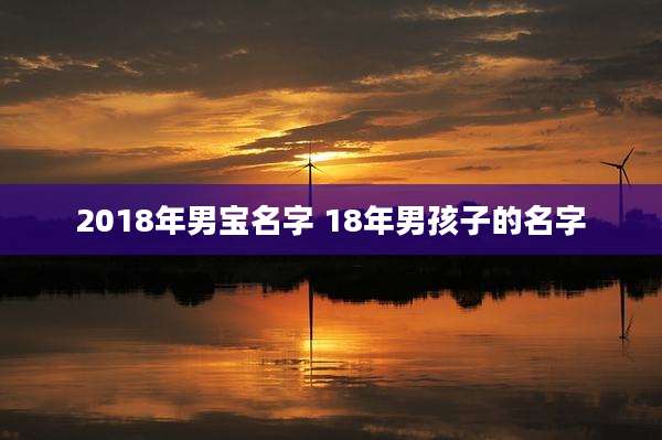 2018年男宝名字 18年男孩子的名字