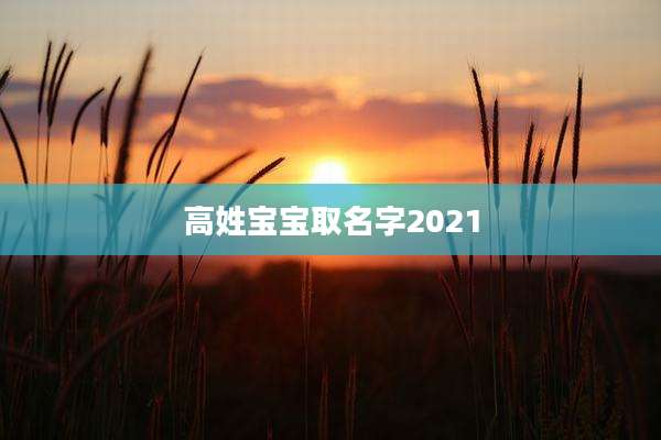 高姓宝宝取名字2021