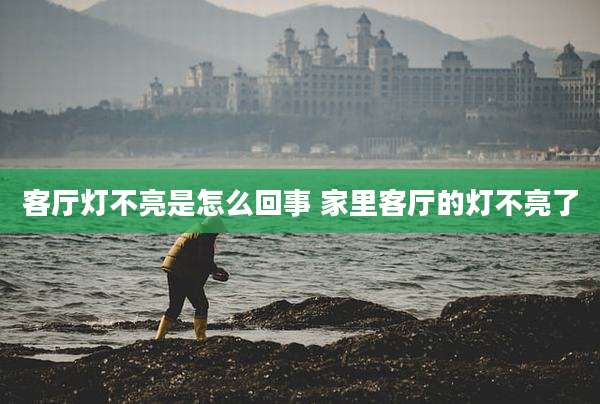 客厅灯不亮是怎么回事 家里客厅的灯不亮了