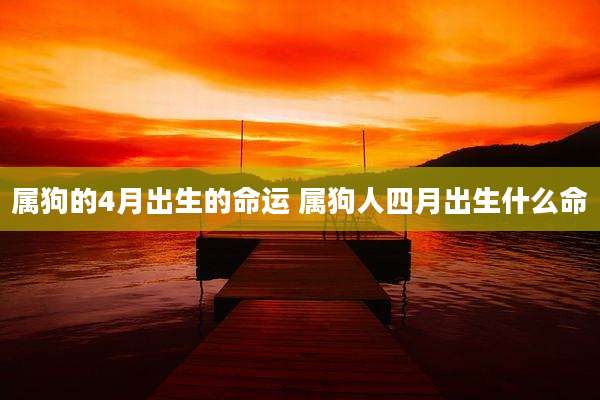 属狗的4月出生的命运 属狗人四月出生什么命