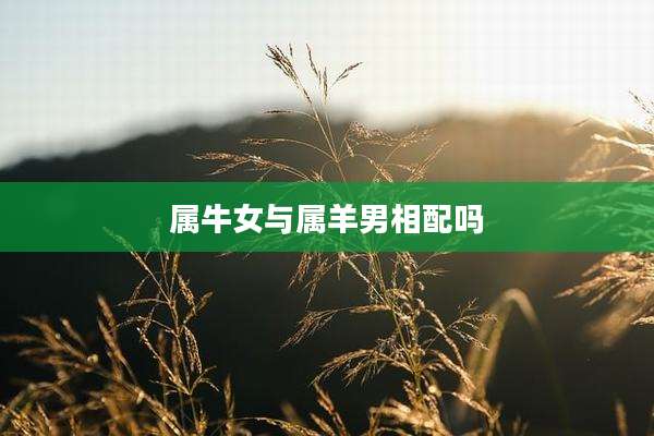 属牛女与属羊男相配吗