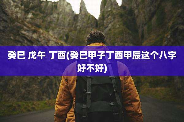 癸巳 戊午 丁酉(癸巳甲子丁酉甲辰这个八字好不好)