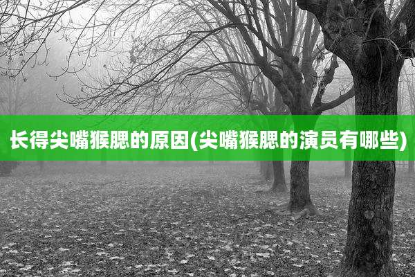 长得尖嘴猴腮的原因(尖嘴猴腮的演员有哪些)
