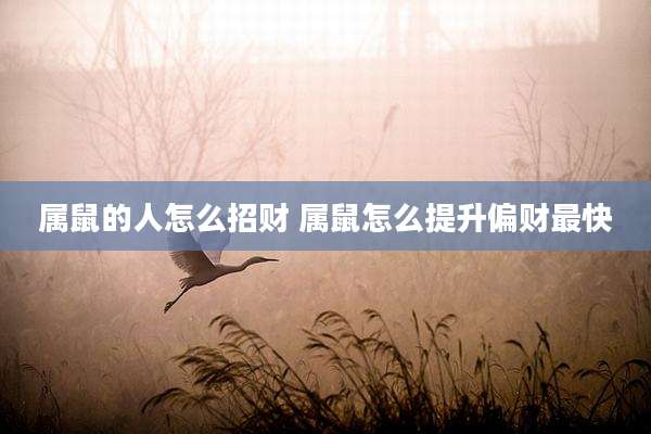 属鼠的人怎么招财 属鼠怎么提升偏财最快
