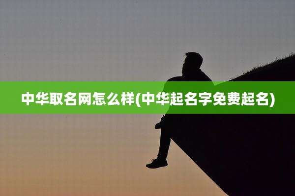 中华取名网怎么样(中华起名字免费起名)
