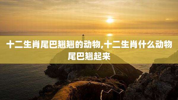 十二生肖尾巴翘翘的动物,十二生肖什么动物尾巴翘起来