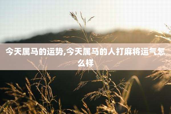 今天属马的运势,今天属马的人打麻将运气怎么样
