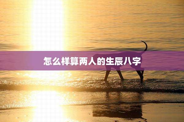 怎么样算两人的生辰八字