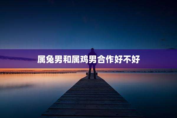 属兔男和属鸡男合作好不好