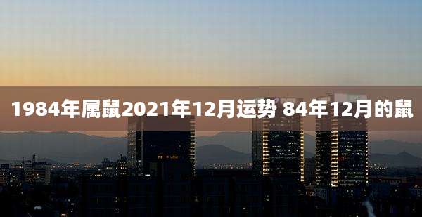 1984年属鼠2021年12月运势 84年12月的鼠