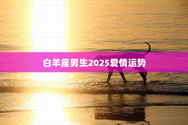 白羊座男生2025爱情运势