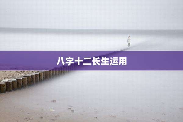 八字十二长生运用