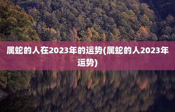 属蛇的人在2023年的运势(属蛇的人2023年运势)