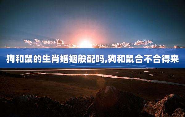 狗和鼠的生肖婚姻般配吗,狗和鼠合不合得来