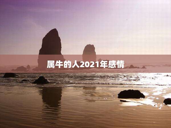 属牛的人2021年感情