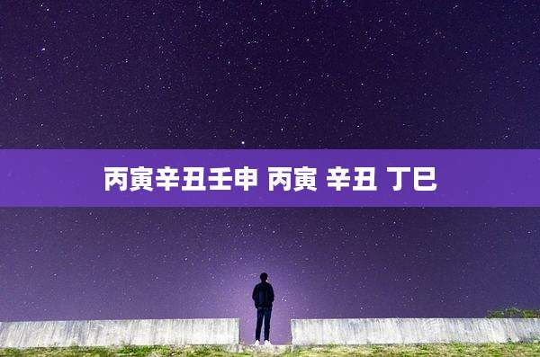 丙寅辛丑壬申 丙寅 辛丑 丁巳