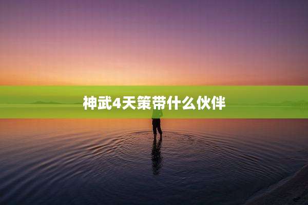 神武4天策带什么伙伴