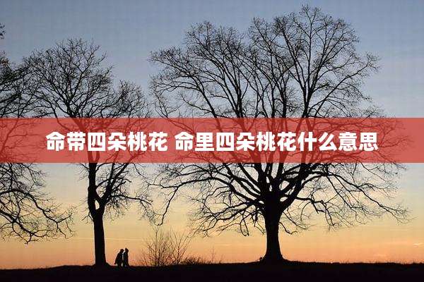 命带四朵桃花 命里四朵桃花什么意思
