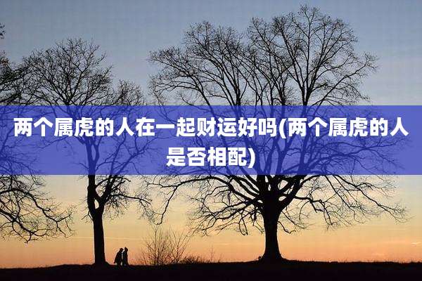 两个属虎的人在一起财运好吗(两个属虎的人是否相配)