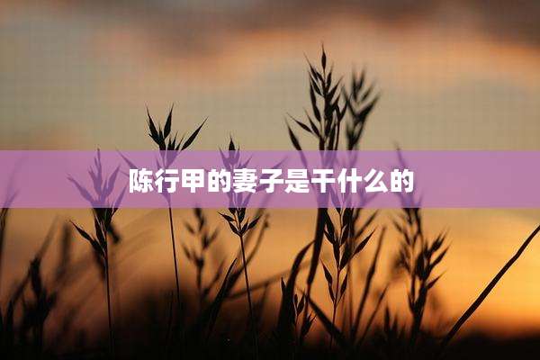 陈行甲的妻子是干什么的