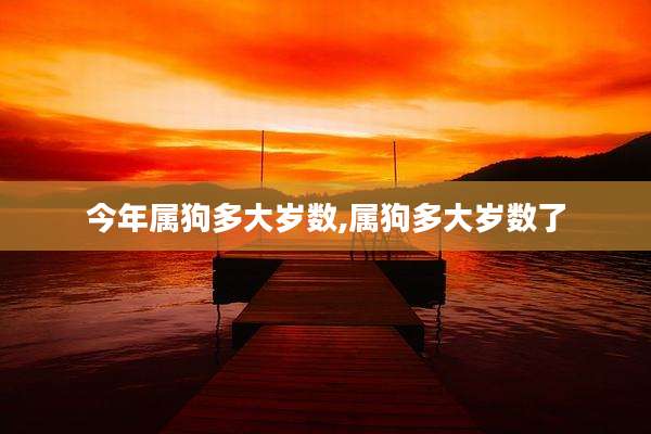 今年属狗多大岁数,属狗多大岁数了