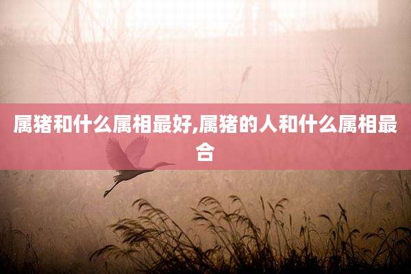 属猪和什么属相最好,属猪的人和什么属相最合