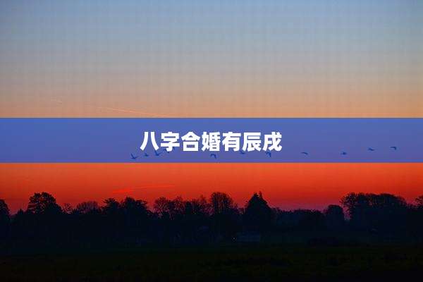 八字合婚有辰戌