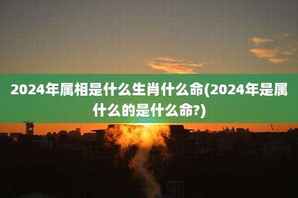 2024年属相是什么生肖什么命(2024年是属什么的是什么命?)