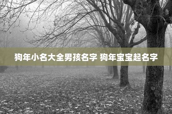 狗年小名大全男孩名字 狗年宝宝起名字