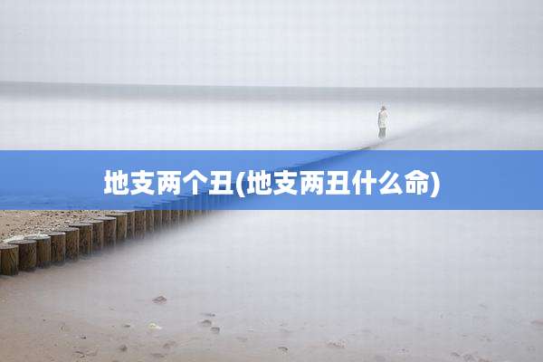 地支两个丑(地支两丑什么命)