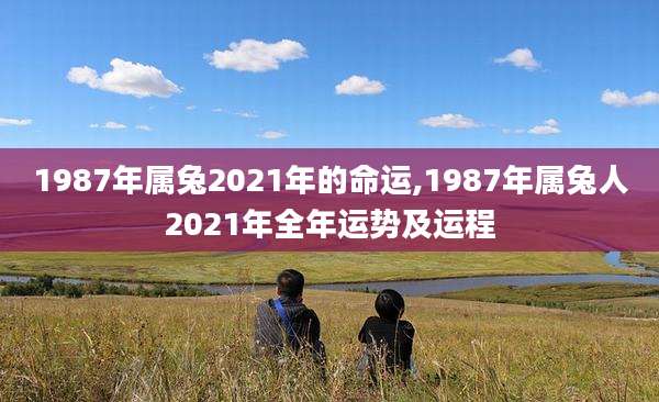 1987年属兔2021年的命运,1987年属兔人2021年全年运势及运程