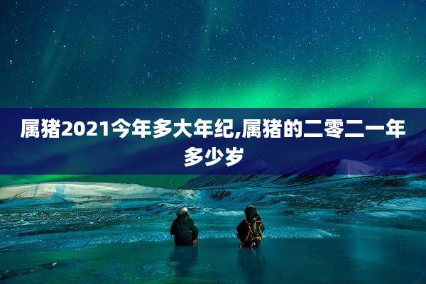 属猪2021今年多大年纪,属猪的二零二一年多少岁