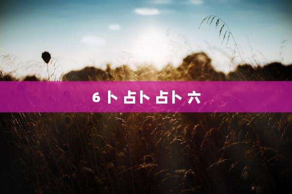 6 卜 占卜 占卜 六