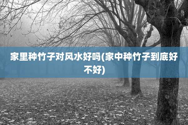 家里种竹子对风水好吗(家中种竹子到底好不好)