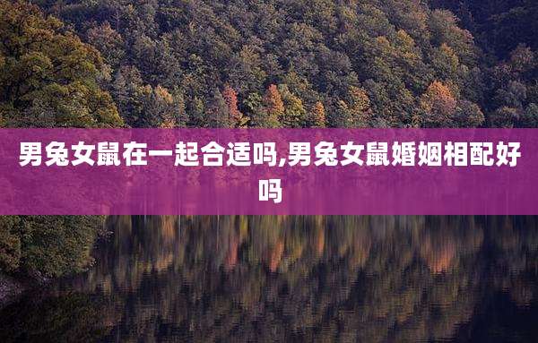 男兔女鼠在一起合适吗,男兔女鼠婚姻相配好吗