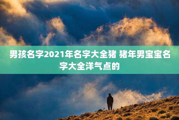 男孩名字2021年名字大全猪 猪年男宝宝名字大全洋气点的