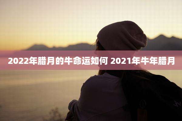 2022年腊月的牛命运如何 2021年牛年腊月