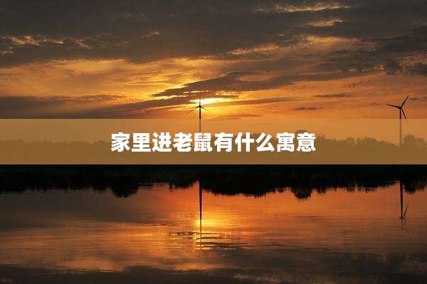 家里进老鼠有什么寓意